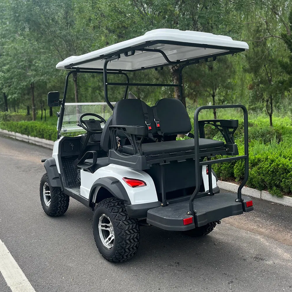 Professional 2-4 Passenger 4 Wheels Electric Golf Carts