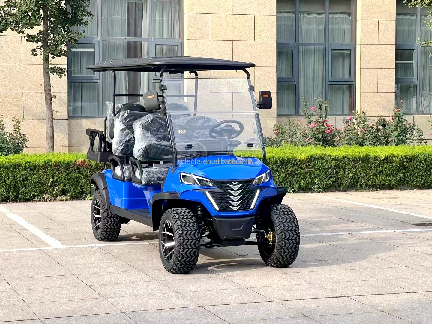 Golf Cart Details