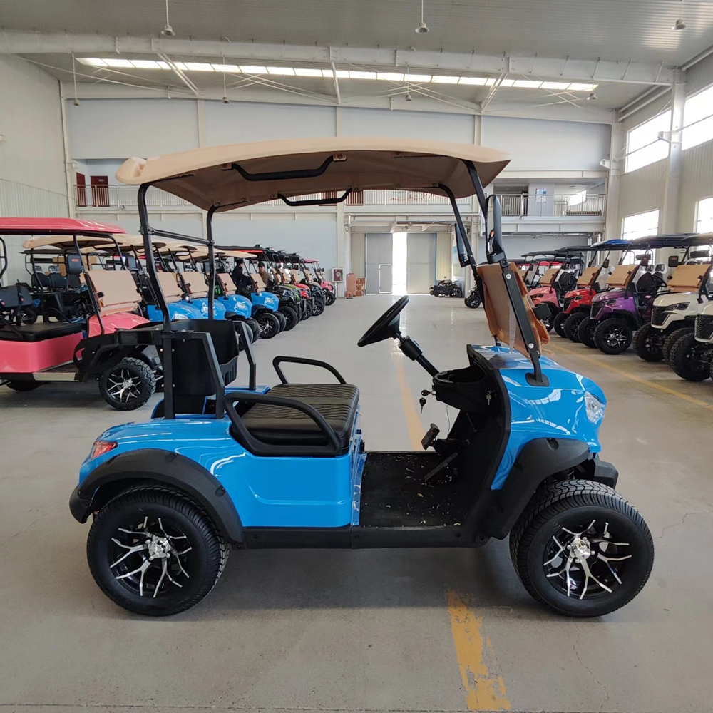 Street Legal 2-Seater Electric Golf Buggy 3.5KW AC Motor 60V Battery 70-90km Range CE Certified Adult-Sized Sightseeing Bus Cart