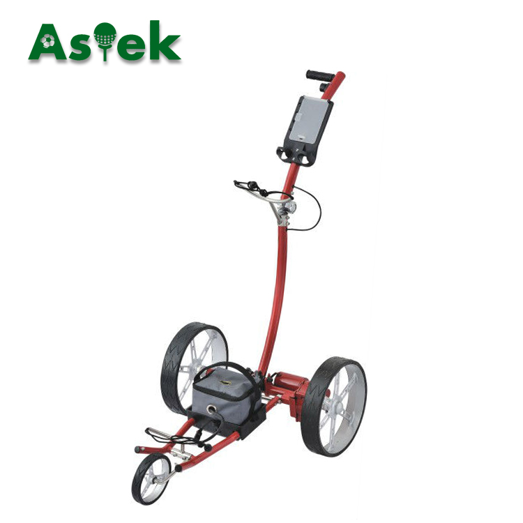 Used Aluminum Electric Custom Golf Carts for Sale