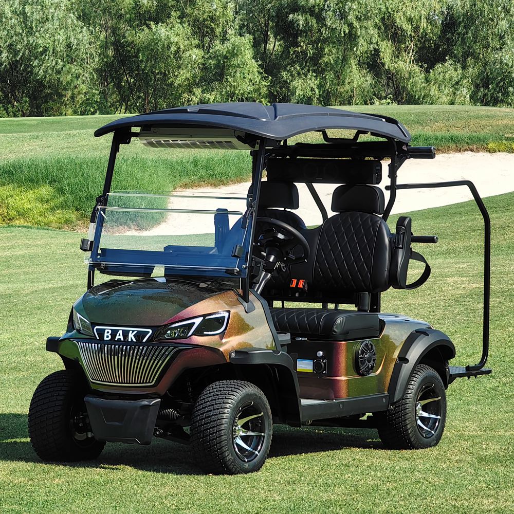 Reliable Supplies Customizations Electric Golf Cart with 48V AC Motor Powered 2 Seater Luxury Golf Cart