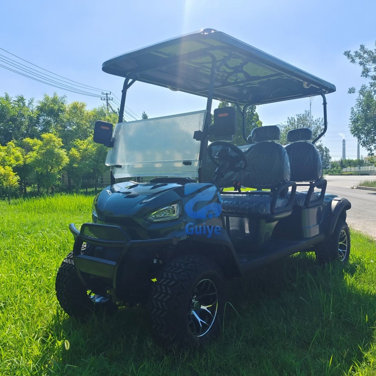 Premium Custom Electric Off-Road Golf Cart Customized Professional Design Mini Electric Golf Cart for Outdoor Golf Play