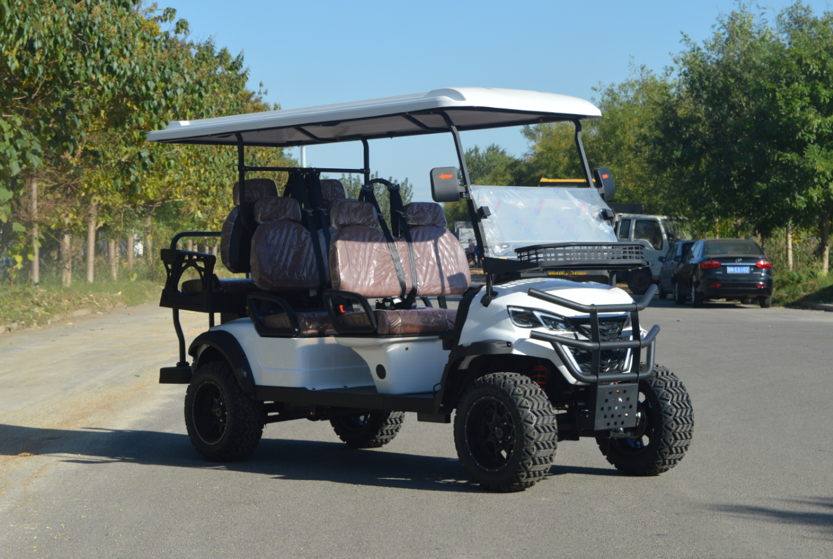 Multi-functional 6 Seater Electric Golf Carts with Adjustable Seats Support Customized Colors for Community Use