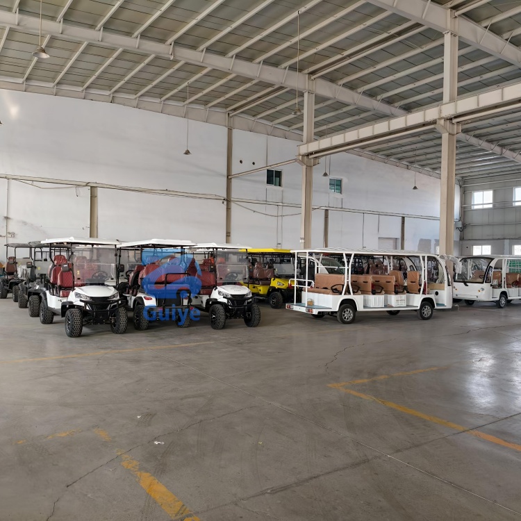 Premium Custom Electric Off-Road Golf Cart Customized Professional Design Mini Electric Golf Cart for Outdoor Golf Play