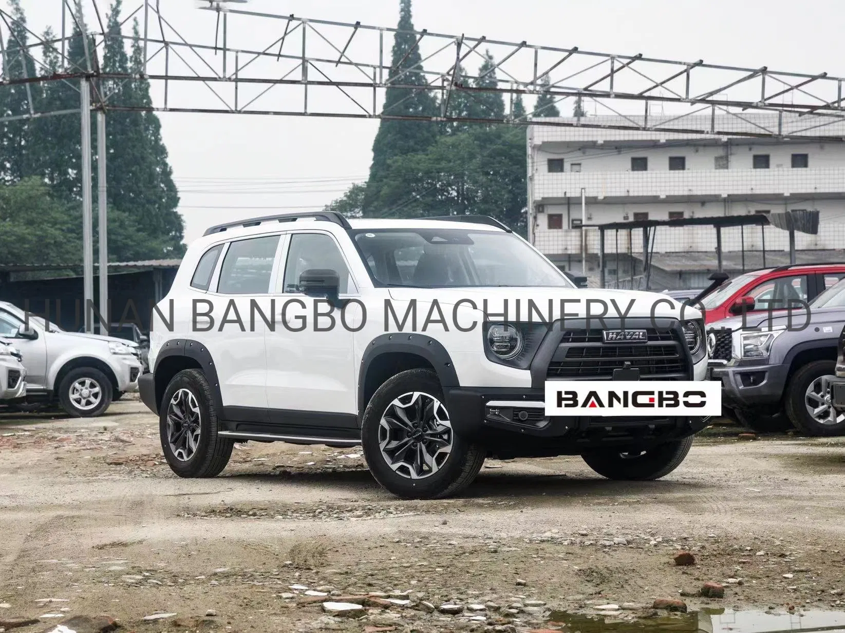 Haval Dargo Cheap Price Utility Classic Small Car Micro SUV Sedan Vehicle