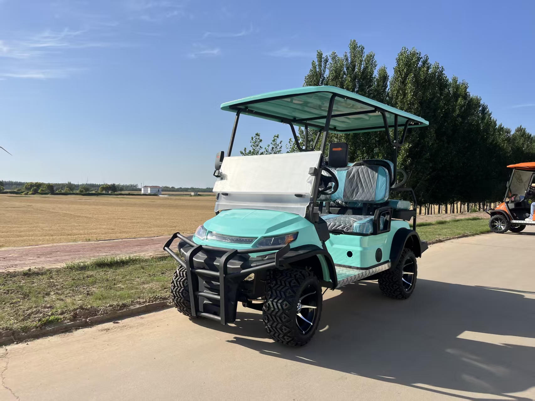 Customizable High Climbing Ability 4 Seater Electric Golf Cart Utility Club Car with All Terrain Tires for Golf Course