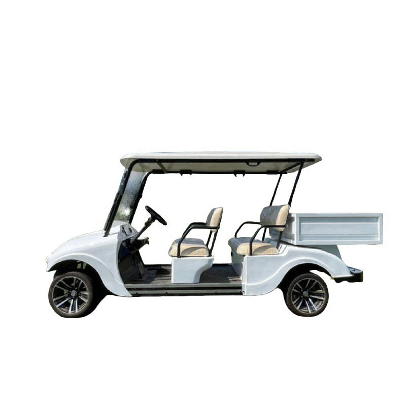 Hot Selling Cheap High Quality 4 Passengers 2X2 Seater Tourist Car Electric Golf Cart