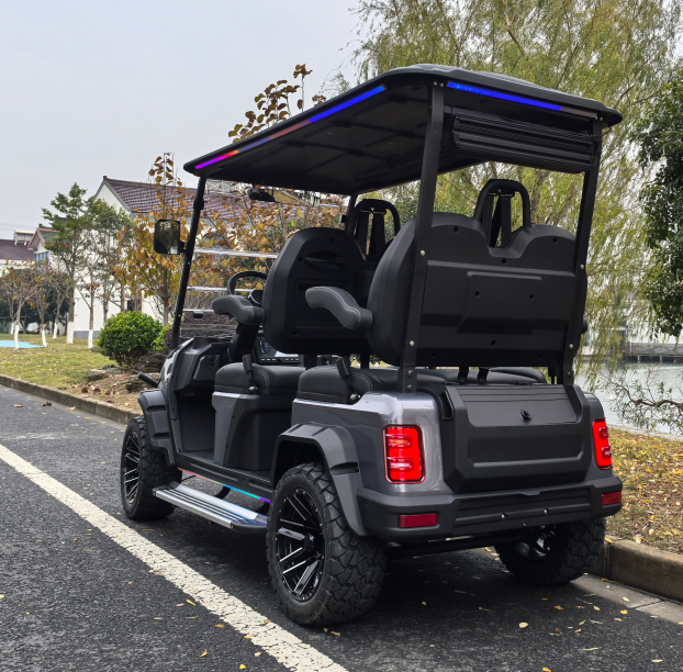 Off-Road Electric Golf Cart 5kw Motor Curtis Controller CE Certified Energy-Saving Eco-Friendly Electric Patrol Vehicle