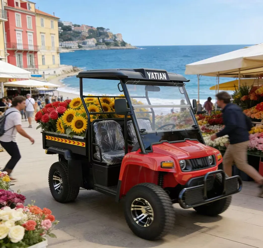 2 Seater Battery Powered 4 Wheel Utility UTV Vehicle