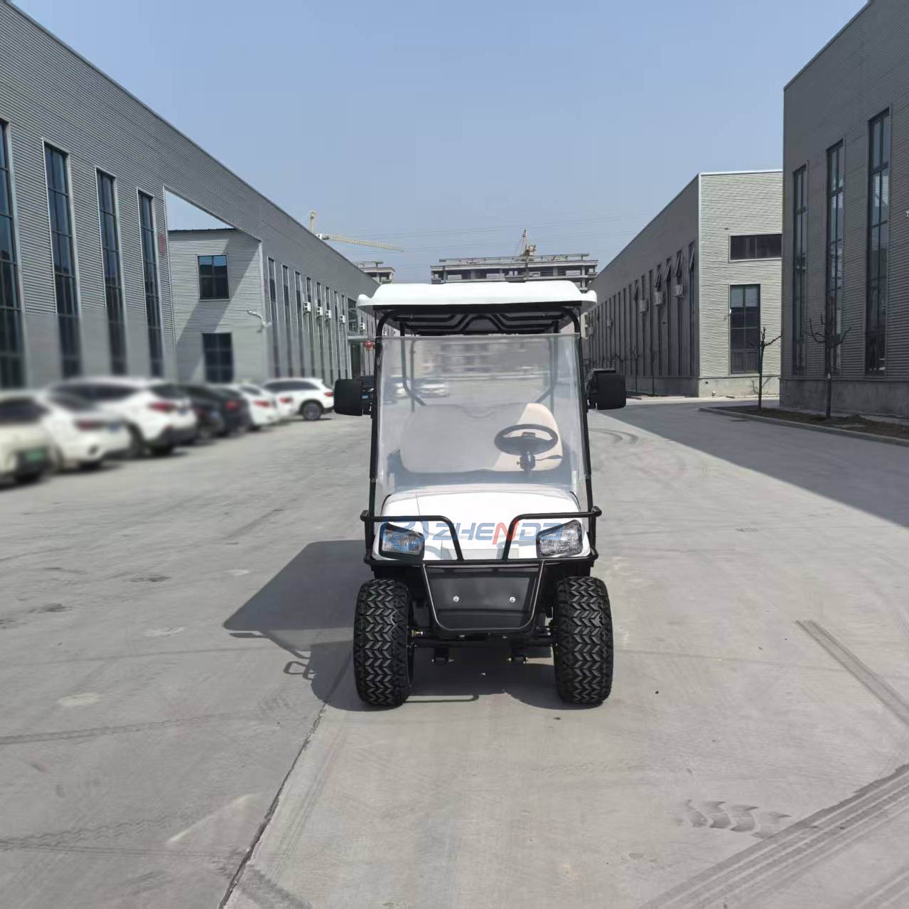 Hot Sale Electric Golf Cart with Refrigerated Cargo Box 3.5KW Motor Lead-acid Battery 30-50Km/h Speed