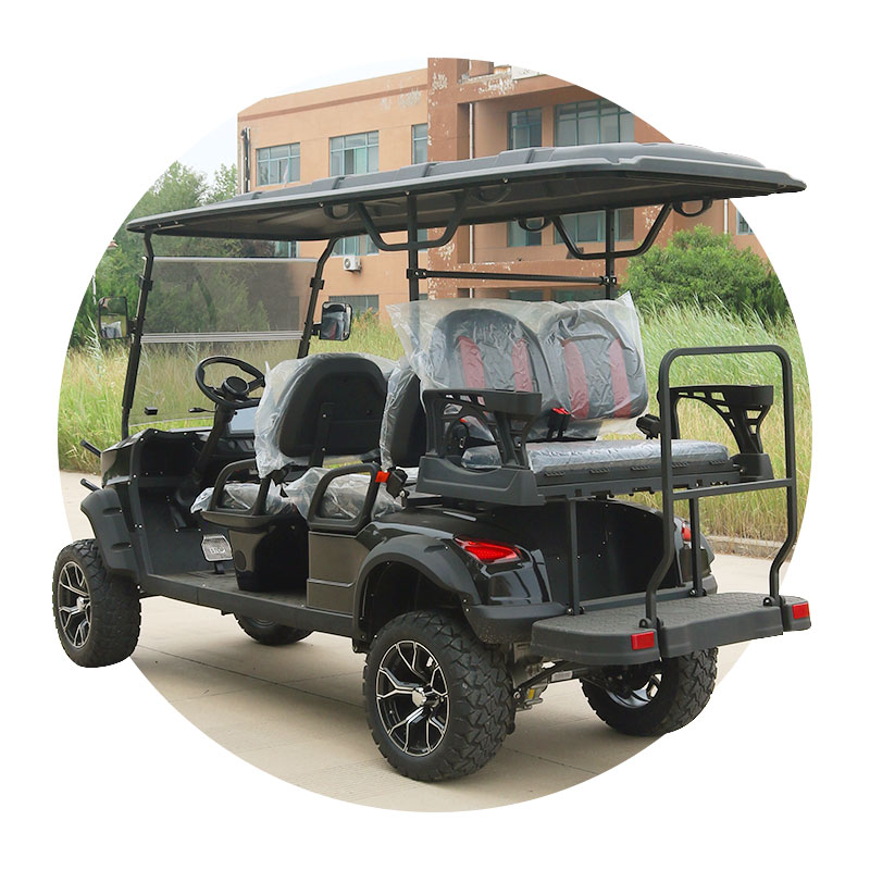 Electric Off-Road Golf Cart 2/4+2/6/8 Passenger Capacity Seats Golf Carts Buggy Scooter with Curtis