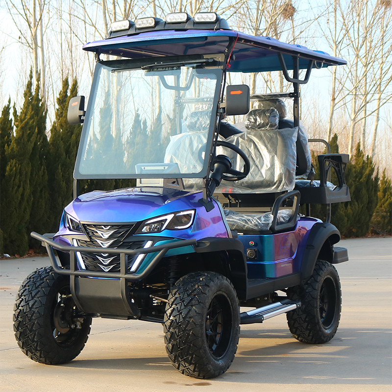 Direct Factory's Electric Golf Cart Customized Street Legal with Best Quality Custom Golf Cart