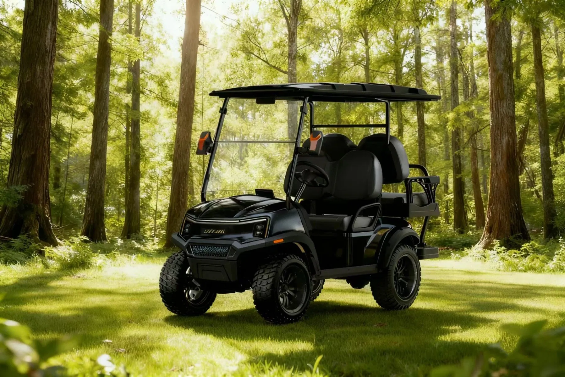 Custom 48V 72V Lithium Battery 5kw Motor 2 / 2+2 / 4 / 4+2 Seater Golf Carts