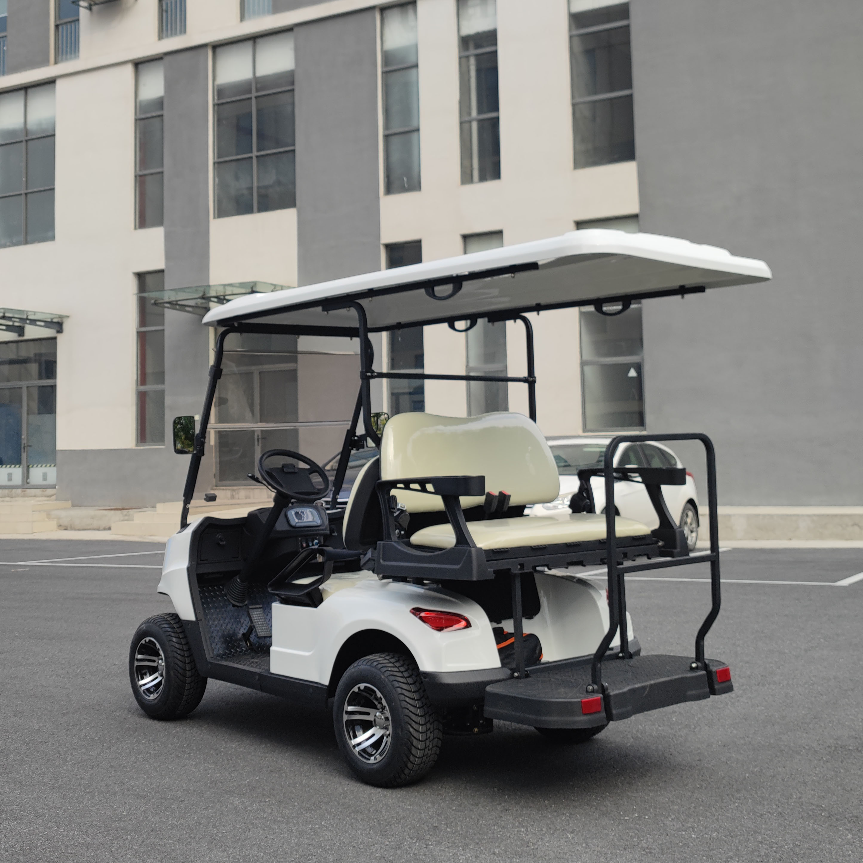 Electric Golf Cart