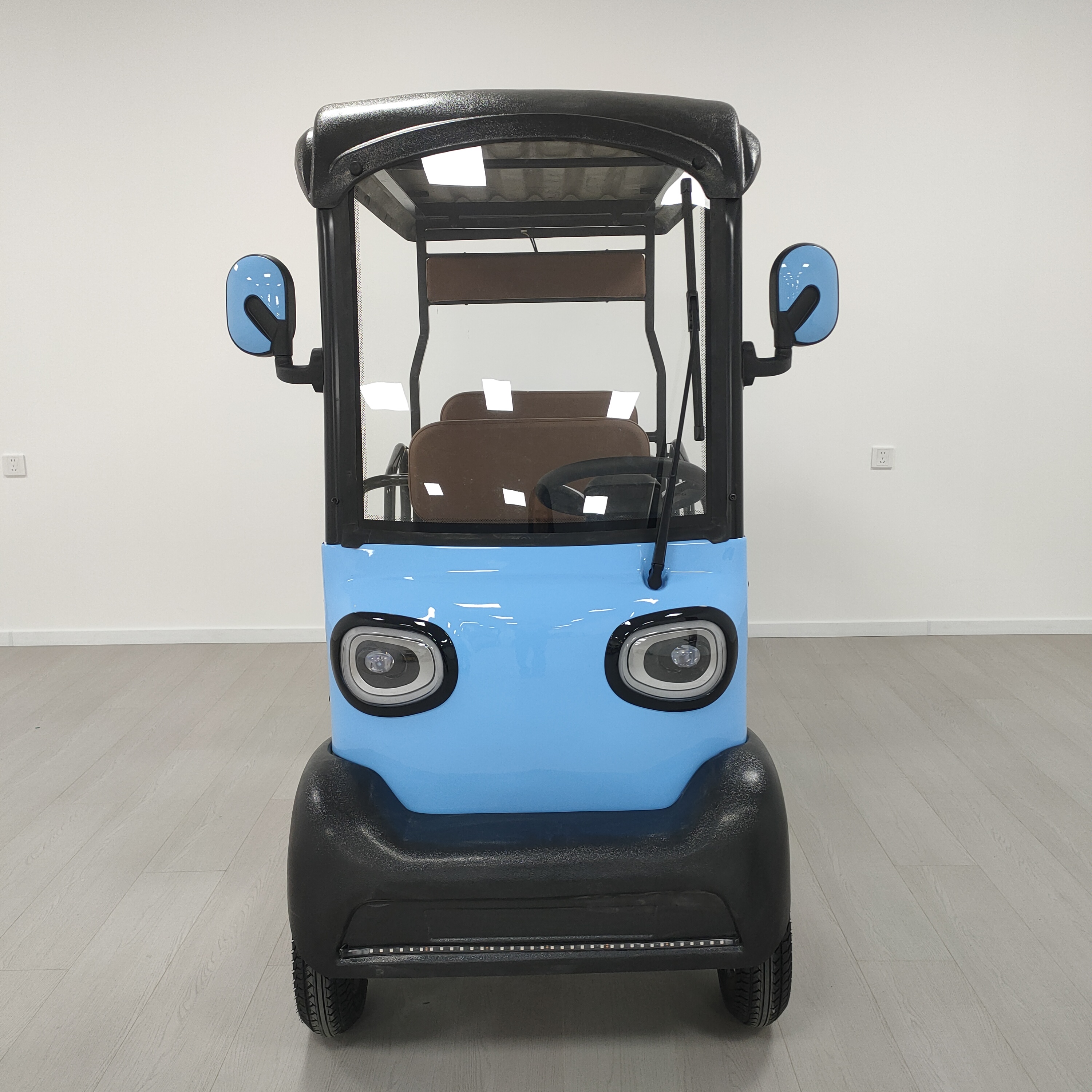 Electric Golf Cart Detail 1