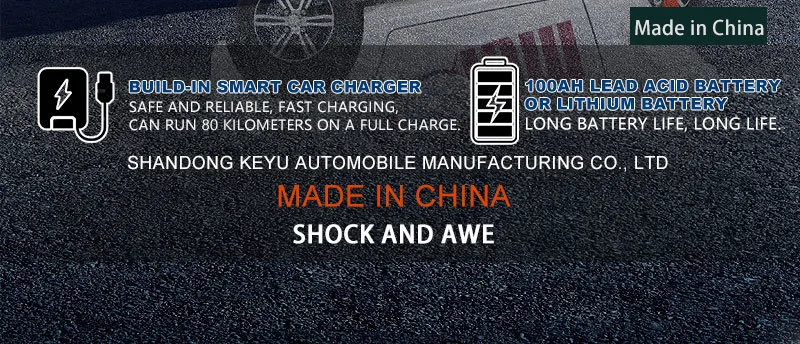 Authentic 60V 3 Wheeled Electric Vehicle Detail