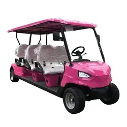 High Performance Electric Golf Cart