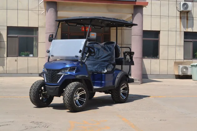 Winner-GC 2S+2S Golf Cart Rear View