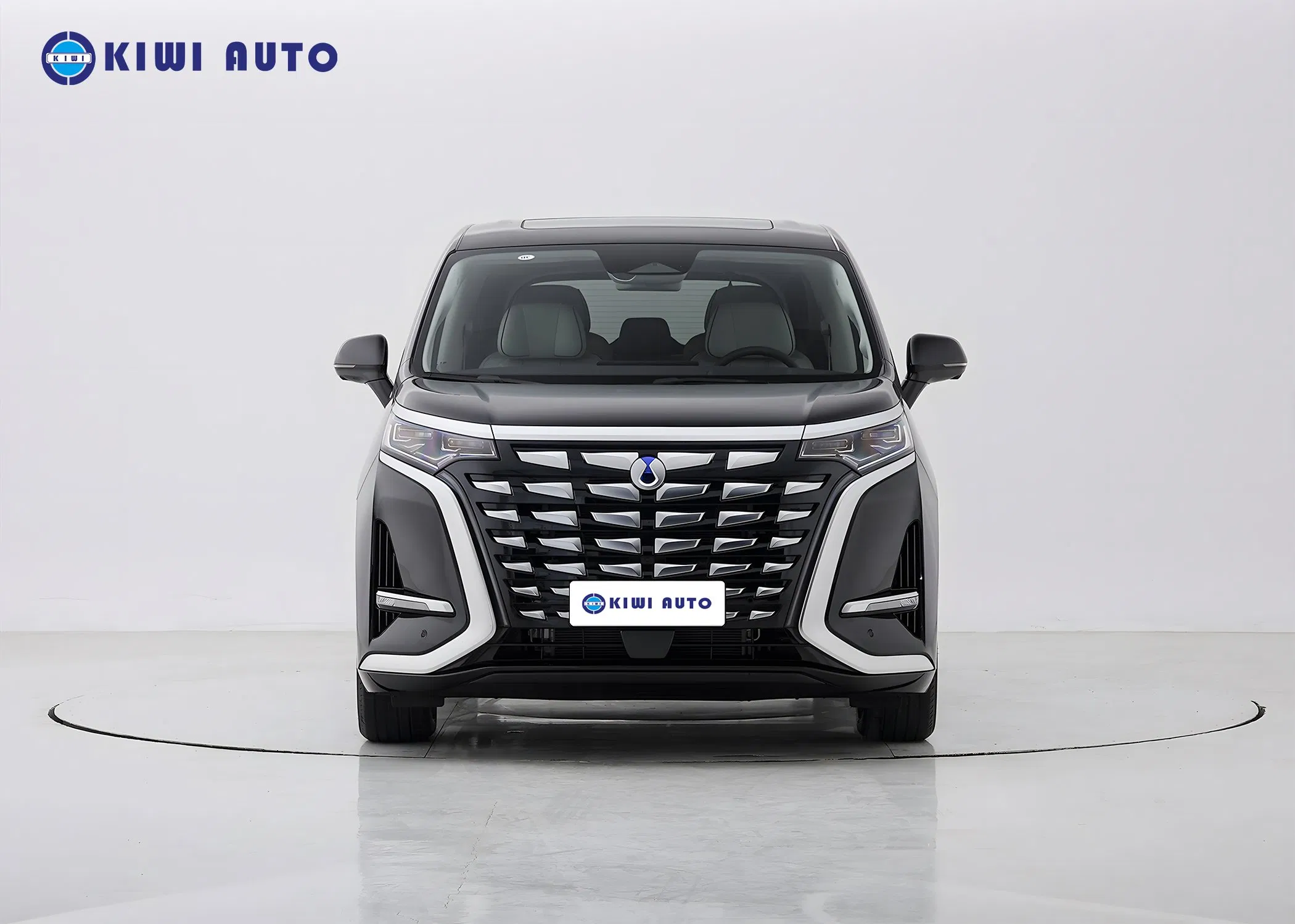 Tengshi D9 Phev Electric Auto Byd Denza D9 Dm China MPV Long Range New Used Vehicle