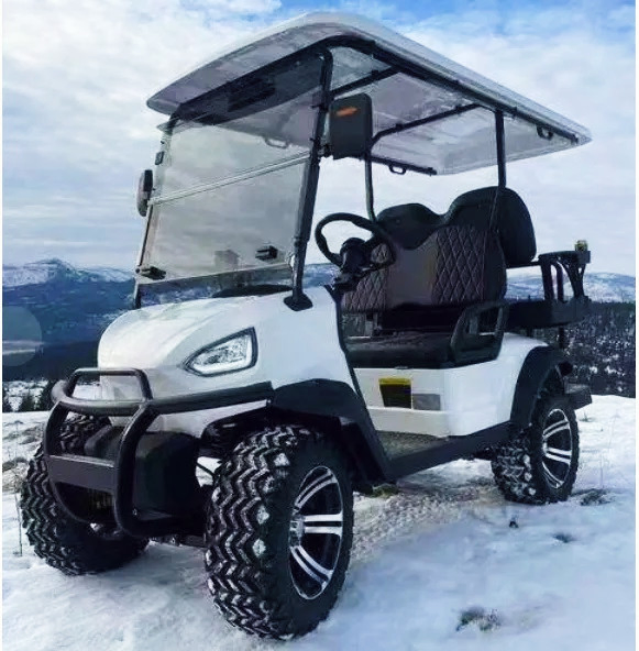 USA Hot Sale 2+2 Seats Solar Panel Powered off Road Electric Golf Cart for Scenic Camp Resort Golf Course &amp; Farm