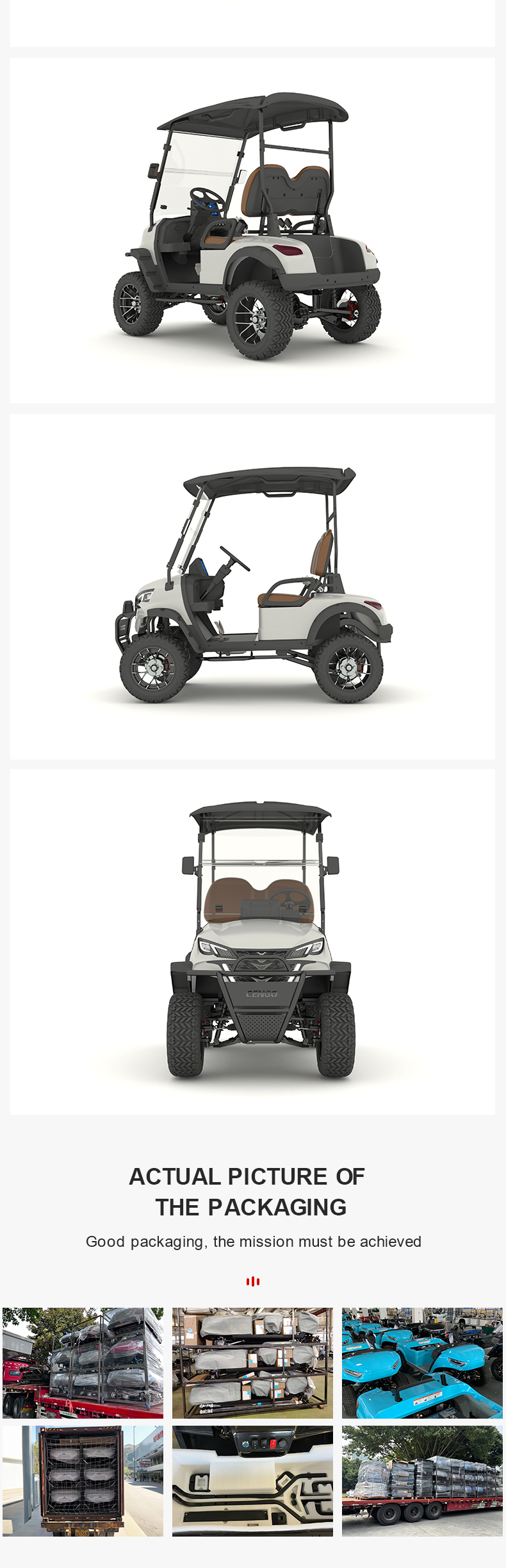 Electric Golf Buggy Overview