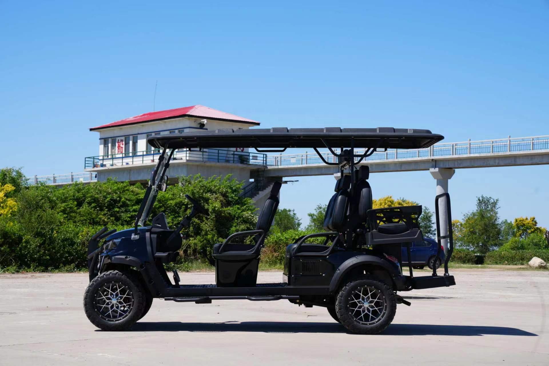 Golf Cart Detail 6