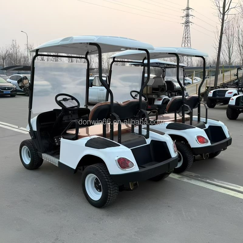 High Quality 2 Seater Lithium Battery Golf Cart Off Road Club Golf Car with Rain Canopy Suitable for Golf Courses