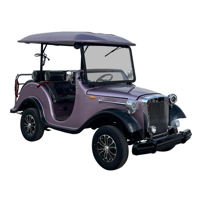Sharefer 4 Seats 2+2 Seater Car off Road Tire 48V Electric Sightseeing Car Club Good Quality Electric Golf Cart Popular Style