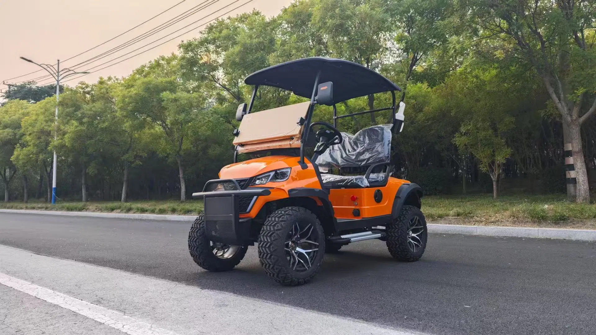 Multi-Color 2-Seater Electric Golf Cart Ideal for Hotel Shuttle Service