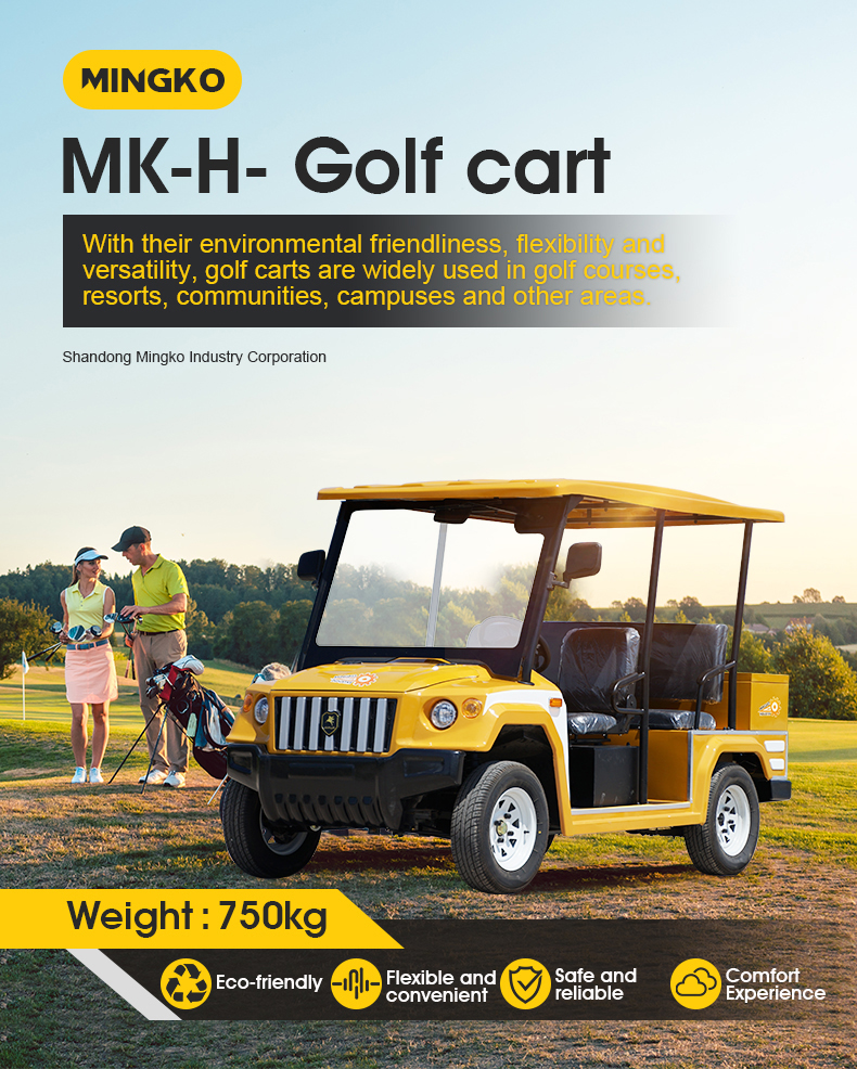 Electric Golf Cart Detail 1
