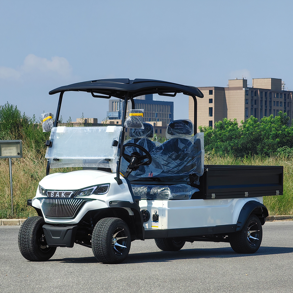 2-Seater Electric Utility Vehicle Golf Cart with Cargo Bed or Farm Hotel Airport Urban Cargo Delivery