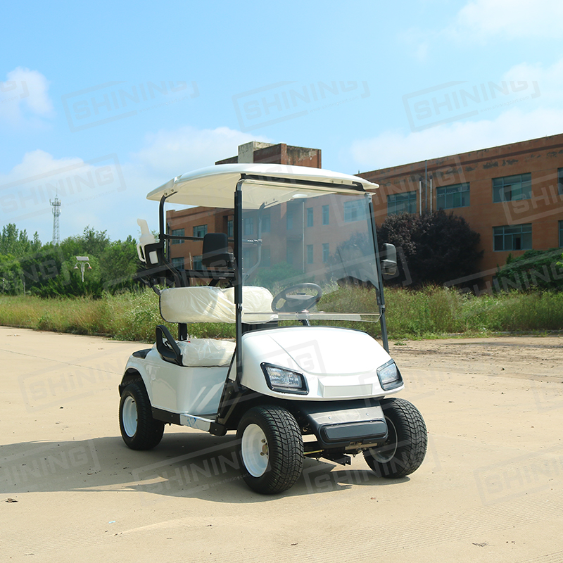 Shininglsv Cart Enclosure Rain Curtain Utility Car Mini 2 Seater Golf Cart