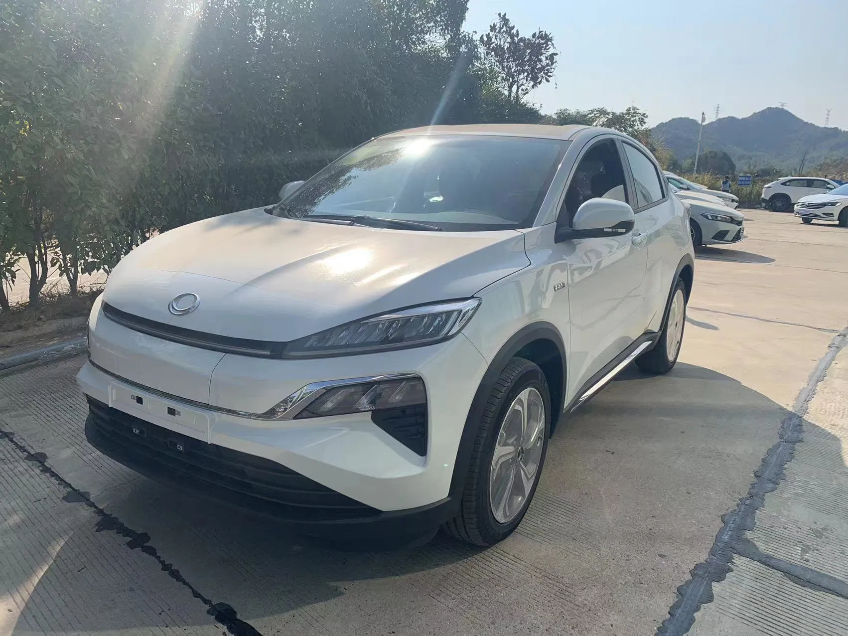 Affordable Utility Electric Vehicle &nbsp;Used Classic SUV Cheap EV Pure Auto