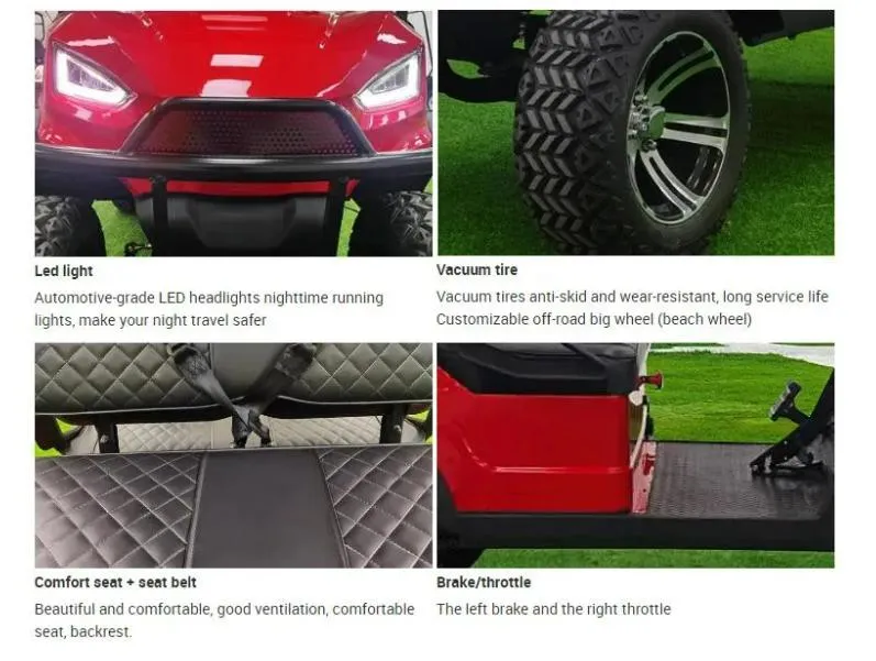 High Performance Electric Golf Cart Detail