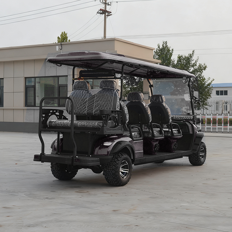 Customizable Quiet Operation Black Electric Golf Cart 8-Seater Off-Road Sightseeing Vehicle for Hotel Resort Campus