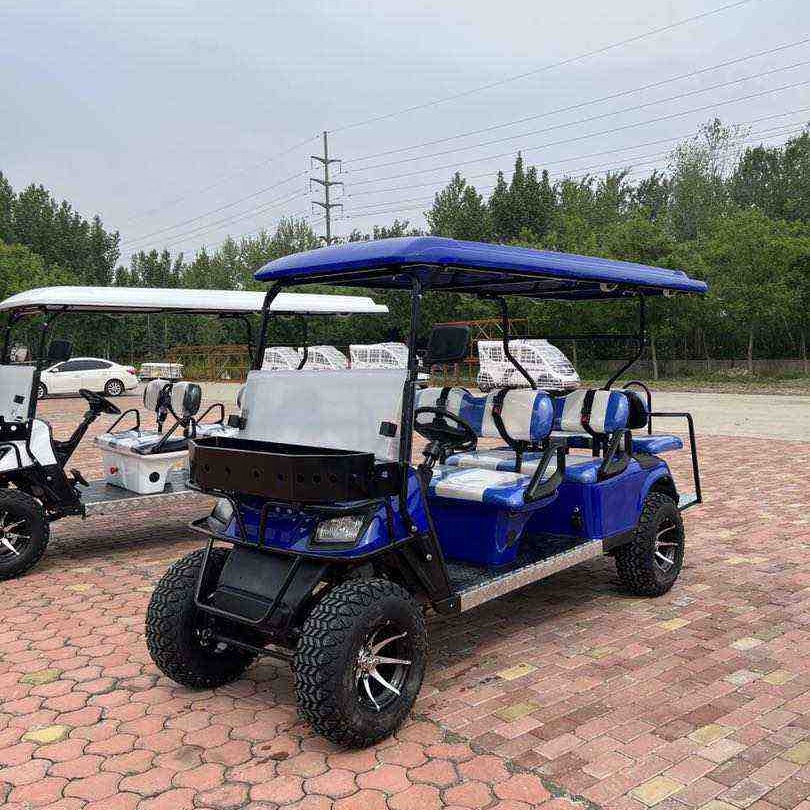 Electric Golf Cart Details 3