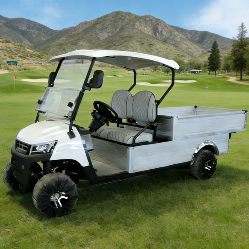 JG Off-Road 4-Stroke Gasoline Golf Cart 2-Seater Front Disc Brakes CE Certification 150-200mm Minimum Ground Clearance for