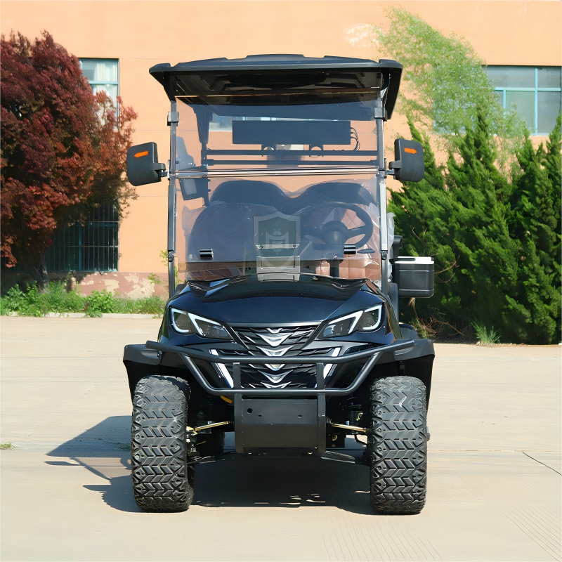 New Energy Vehicles Commercial Electric Car Adult Bus Electric Motorcycle Golf Carts