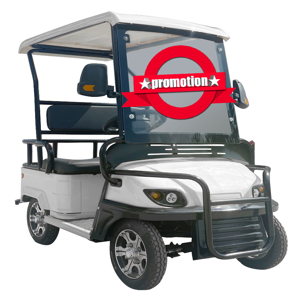 48V Electric Golf Cart 1-2 Seater Street Legal Adult Car 800W Motor 30-50km/h Speed 50-70km Range 500kg Payload EEC Certified