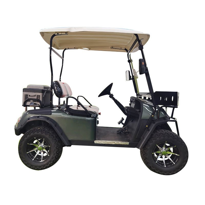 New Design Two-Seater Mini Passenger Golf Cart with Sunshade 70-90km Range CE Certified