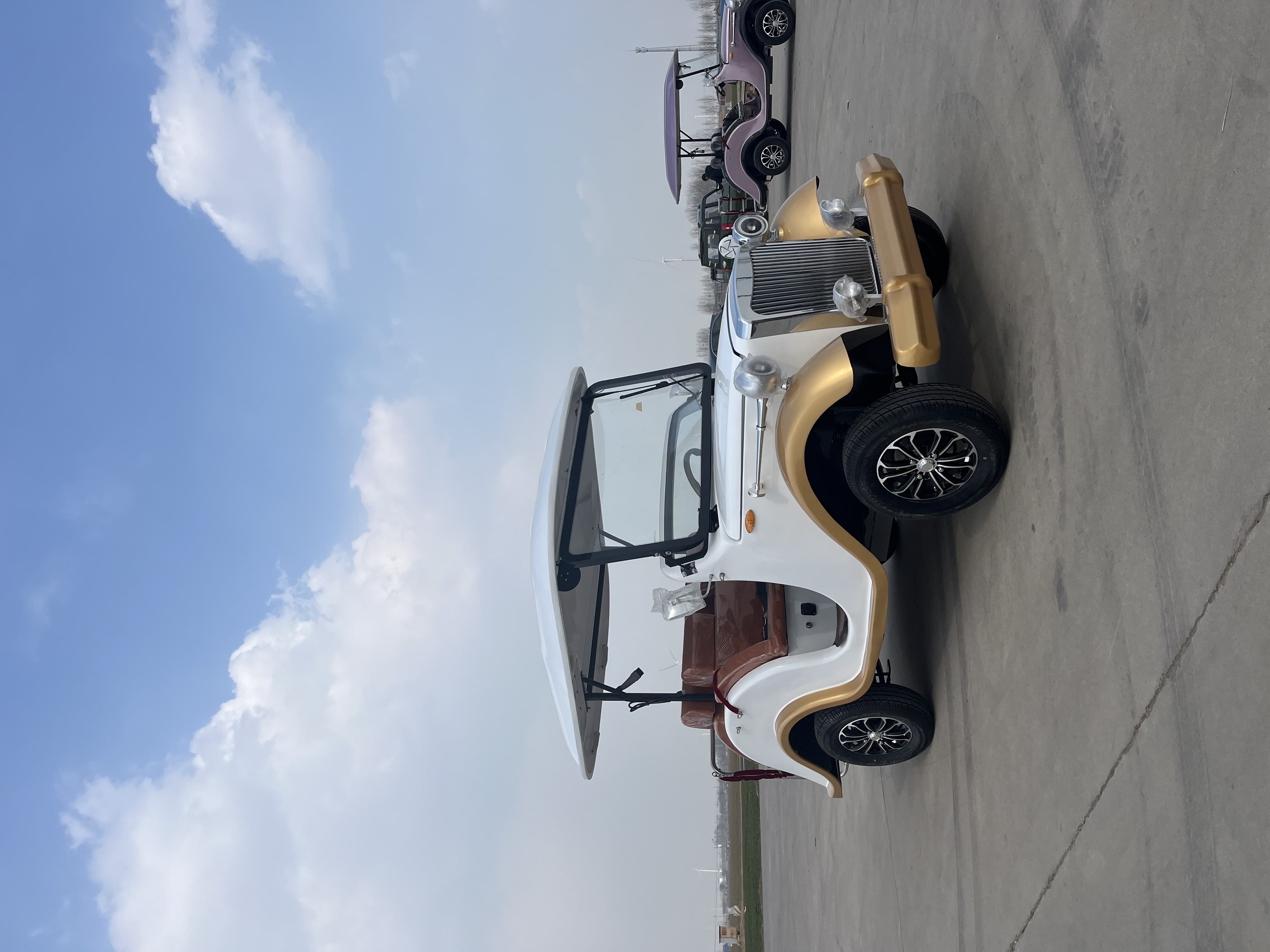 Sharefer 4 Seats 2+2 Seater Car off Road Tire 48V Electric Sightseeing Car Club Good Quality Electric Golf Cart Popular Style