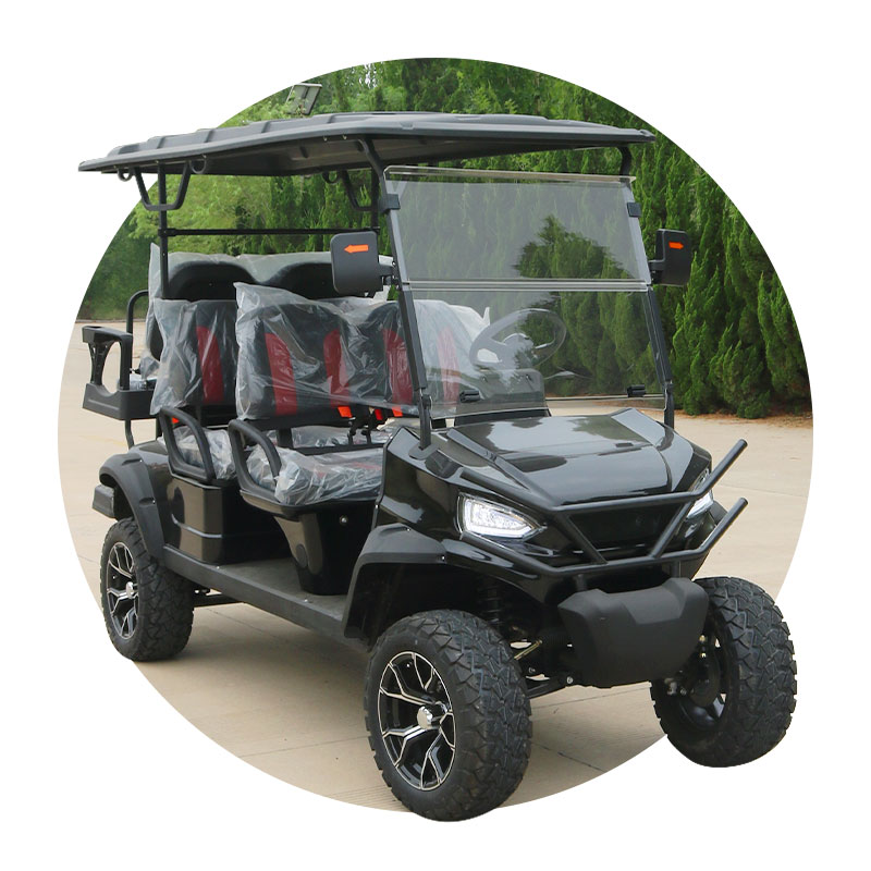 Electric Off-Road Golf Cart 2/4+2/6/8 Passenger Capacity Seats Golf Carts Buggy Scooter with Curtis