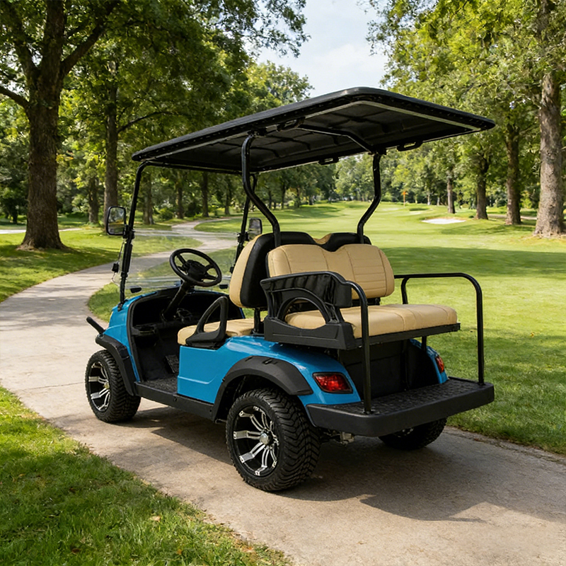 WOLAN Manufacturer Wholesale 4 Seater Passenger Golf Cart with High Roof and Folding Seats for Park