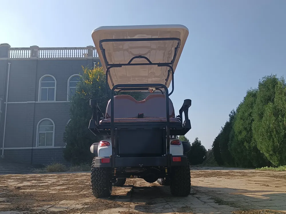 Electric Golf Cart View 3