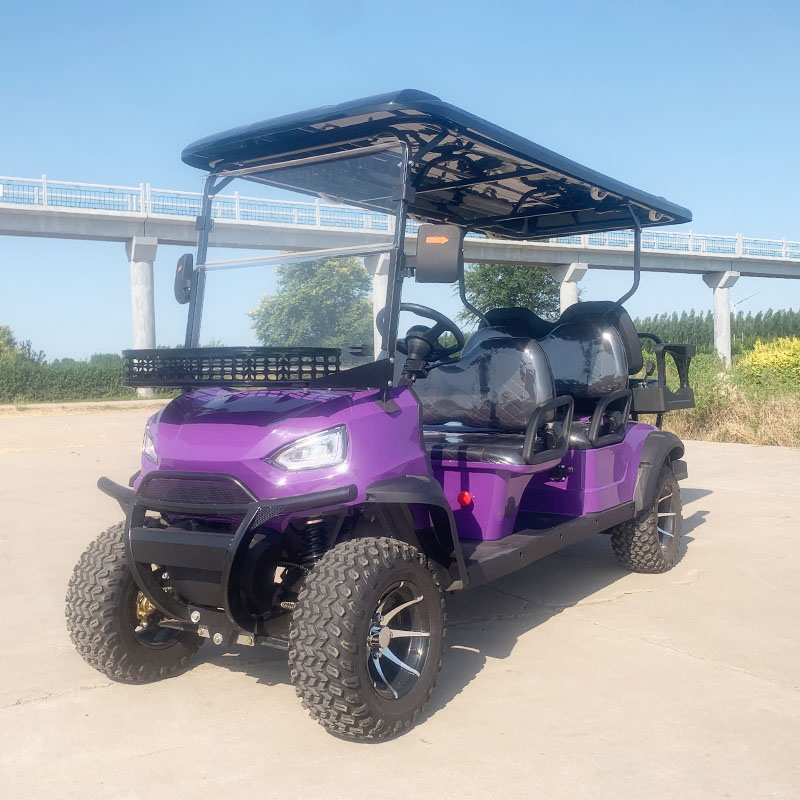 Golf Cart Detail 1
