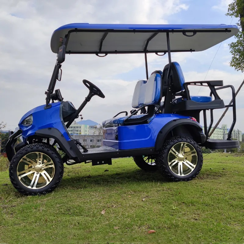 High Performance 2 -10 Seats 60V Battery Electric Golf Buggy Solar Powered Golf Cart