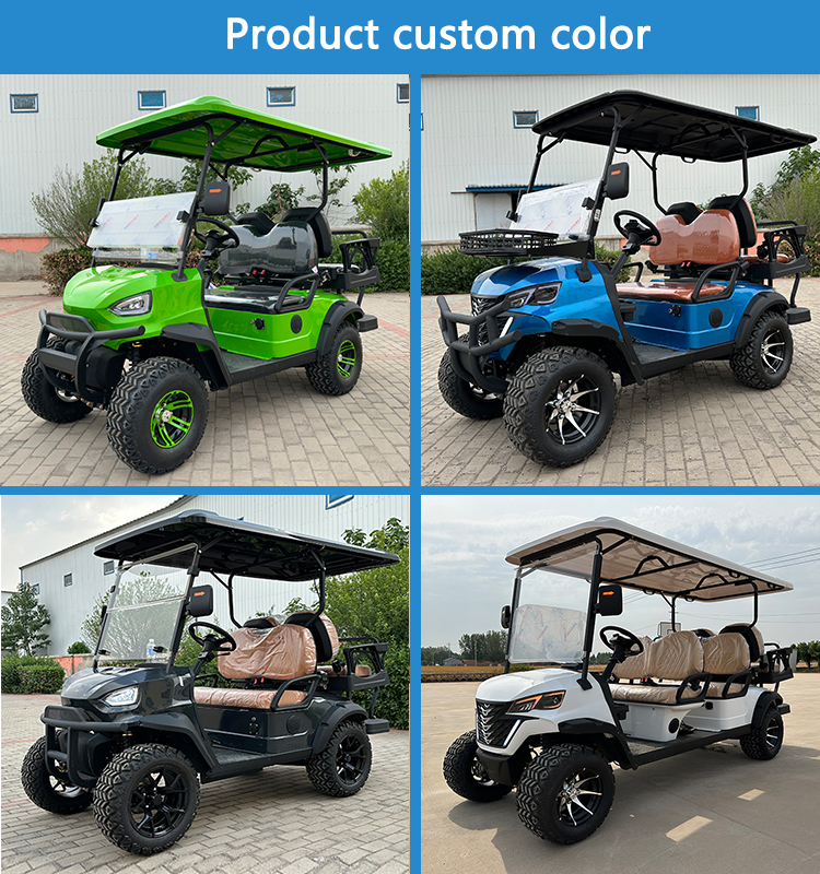 Custom Color Options