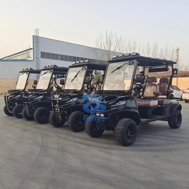 Premium Custom Electric Off-Road Golf Cart Customized Professional Design Mini Electric Golf Cart for Outdoor Golf Play