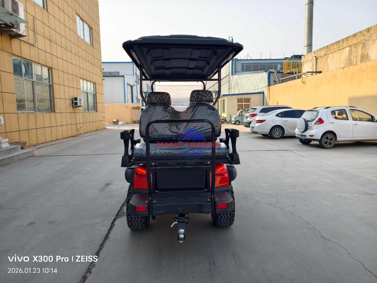 Electric Digital Display Golf Cart-Chinese Factory Direct Smart Tech for Real-Time Battery Speed Monitoring Lithium Battery