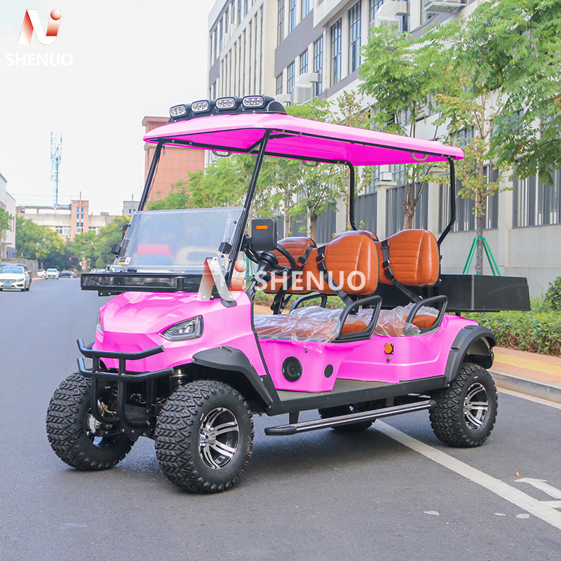 Farm Utility Golf Cart with Loading Area 4 Seater Electric 48V 5KW AC Motor 90km Range